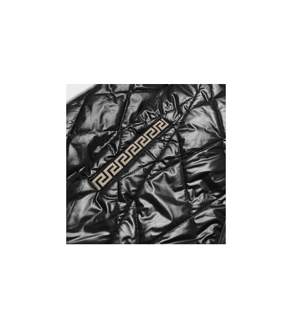 S'WEST (B8013-1) striukė