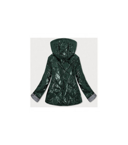 S'WEST (b9573) striukė