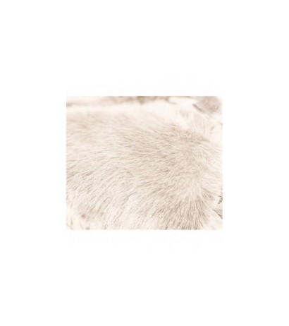 Ann Gissy (008) striukė