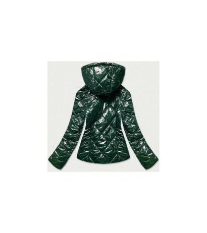 S'WEST (b9756-10) striukė