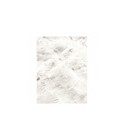 S'WEST (br9748-26) striukė