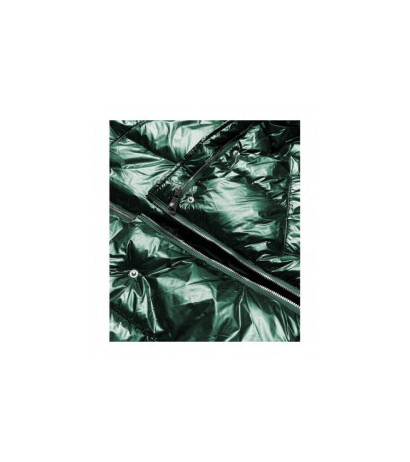 Ann Gissy (omdl-009) striukė