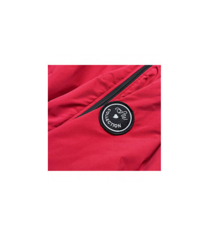 S'WEST (b8001-4) striukė