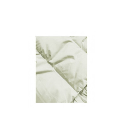 WINTER JACKET WITH MEMBRANE MINT (W182) striukė