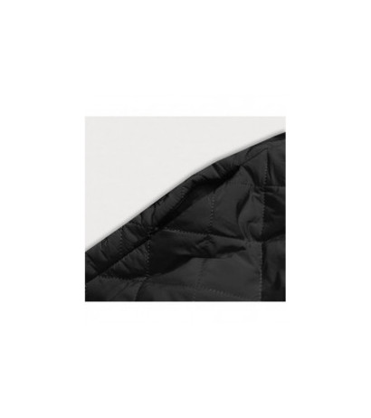 Ann Gissy (ag8-8010) striukė