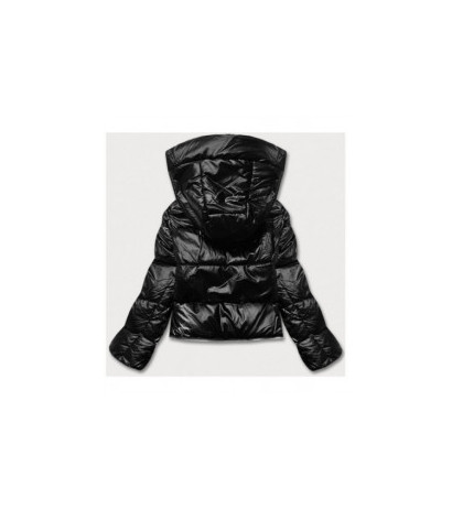 Ann Gissy (AG3-3037) striukė