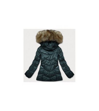 WINTER JACKET WITH MEMBRANE MINT (W182) striukė