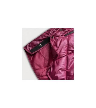 S'WEST (B8126-74) striukė