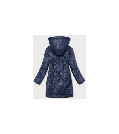 S'WEST (B8218-72) striukė