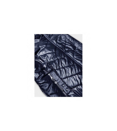 S'WEST (B8087-72051) striukė