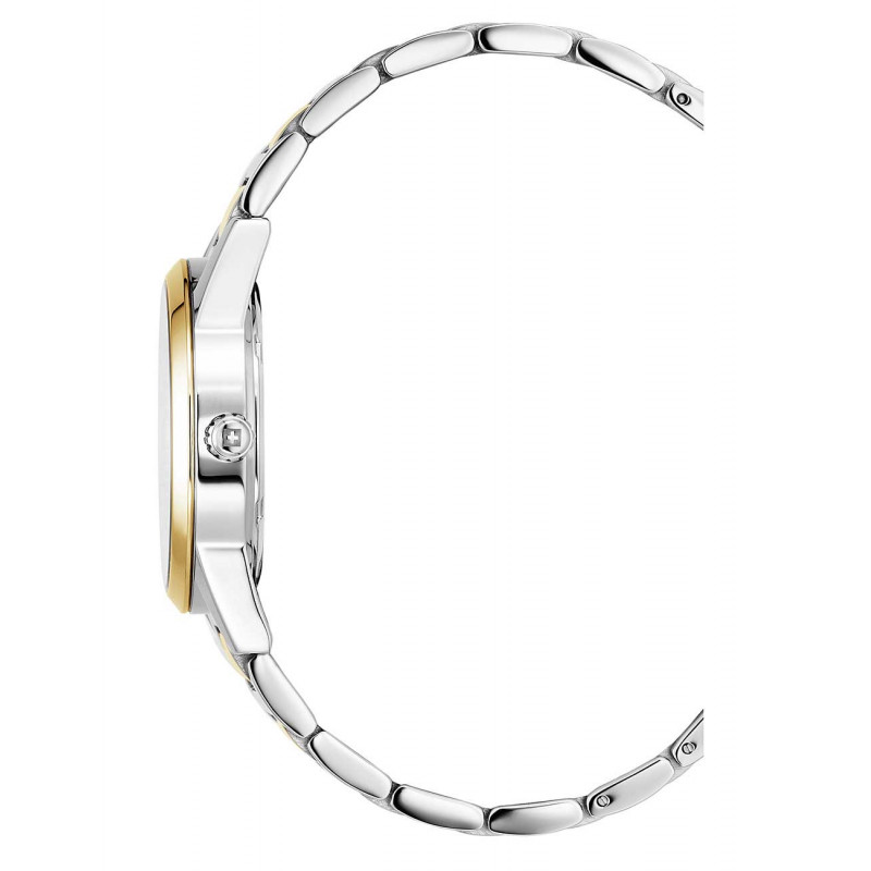 Swiss Alpine Military 7767.1147 