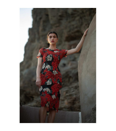 K061 Sukienka koronkowa z nadrukiem - model 1