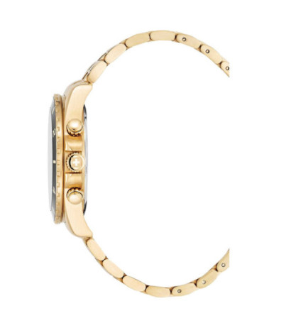 Swiss Alpine Military 7034.9117 