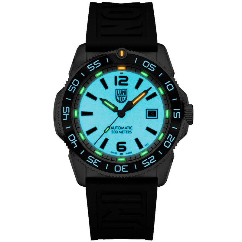 Luminox XS.3101.H 