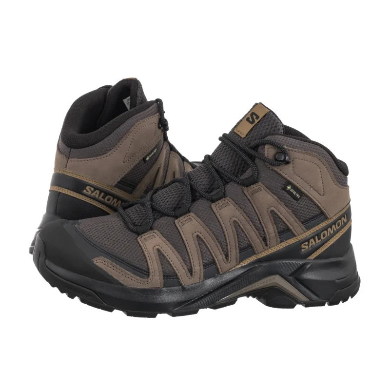 Salomon X-Adventure Recon Mid GTX Asphalt/Falcon/Coyote Brown 478145 (SO12-a) shoes