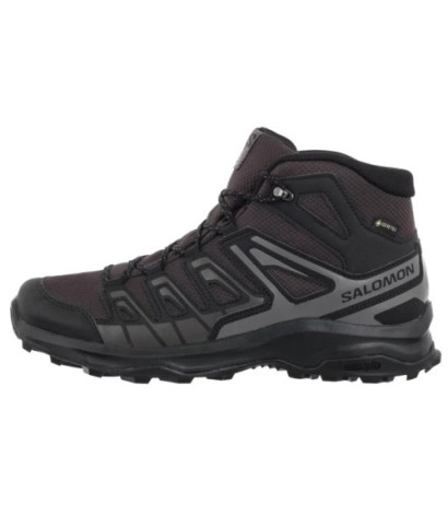Salomon Extegra Mid GTX Phantom/Asphalt/Castlerock 478001 (SO14-a) shoes