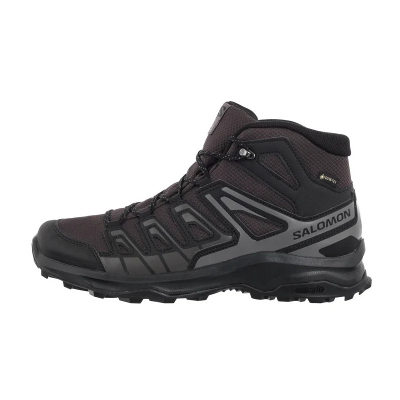 Salomon Extegra Mid GTX Phantom/Asphalt/Castlerock 478001 (SO14-a) shoes