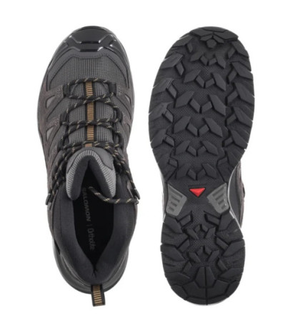 Salomon X Ultra 360 Ltr Mid GTX Castlerock/Asphalt/Kelp 475708 (SO20-a) shoes