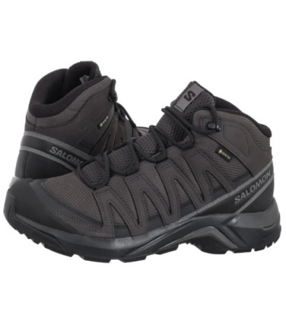Salomon X-Adventure Recon Mid GTX Asphalt/Phantom/Castlerock 478091 (SO22-a) shoes