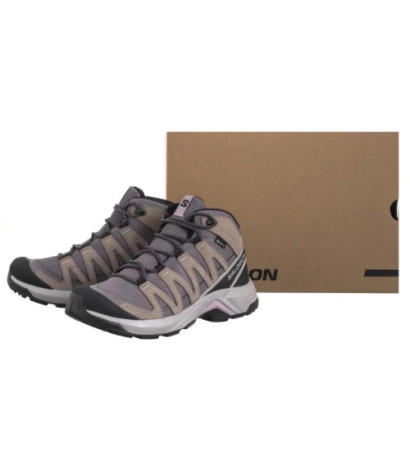 Salomon X-Adventure Recon Mid GTX W Excalibur/Gull/Nirvana 477534 (SO23-a) shoes