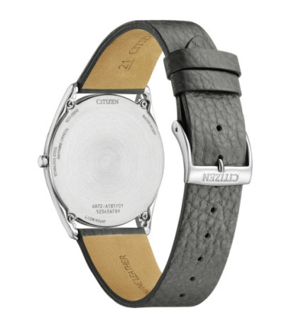 Citizen AR3120-24L 