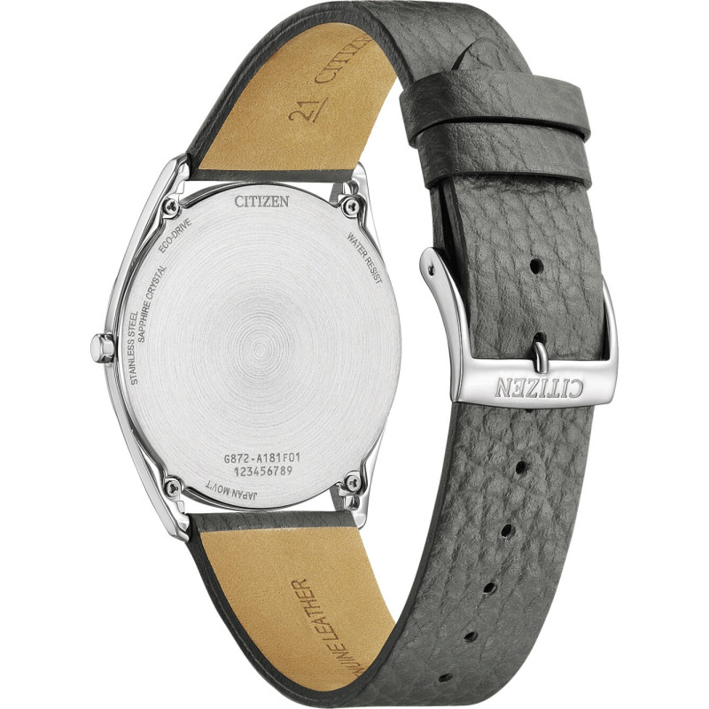 Citizen AR3120-24L 