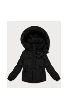 S'WEST (B2003-1) striukė