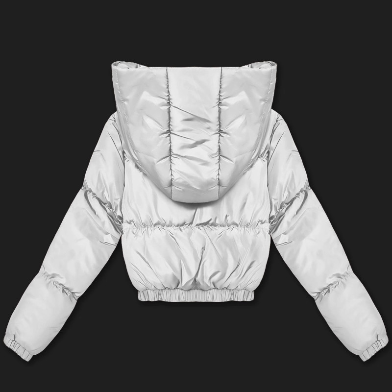 WINTER JACKET WITH MEMBRANE MINT (W182) striukė