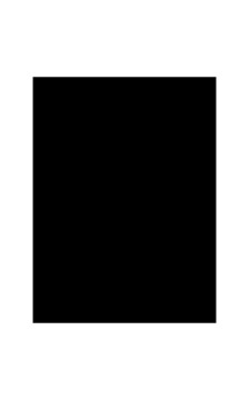 Gatta seamless panties