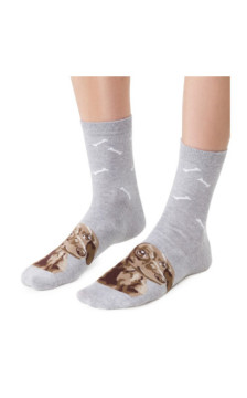 Steven socks