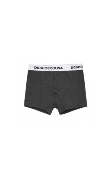 DC Shoe Co USA panties