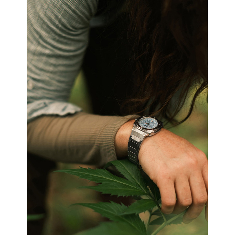 Alpina AL-220LB2AE6B 