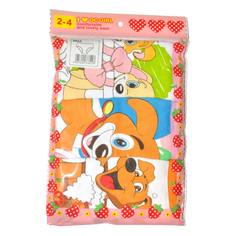 DC Girl panties for girls