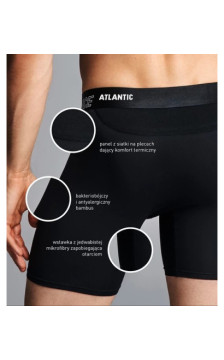 Atlantic panties