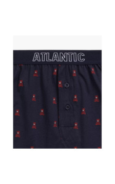 Atlantic panties