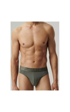 Atlantic panties