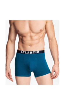 Atlantic panties