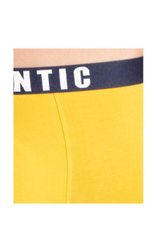 Atlantic panties
