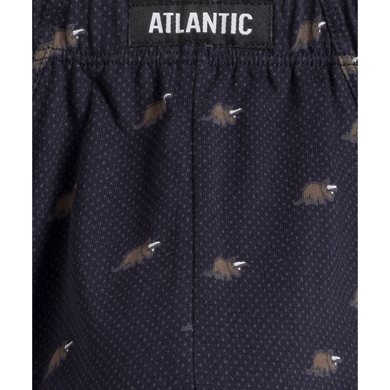 Atlantic panties