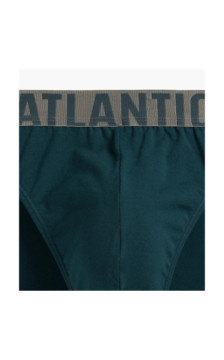 Atlantic panties