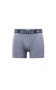 Mustang panties