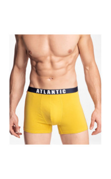 Atlantic panties