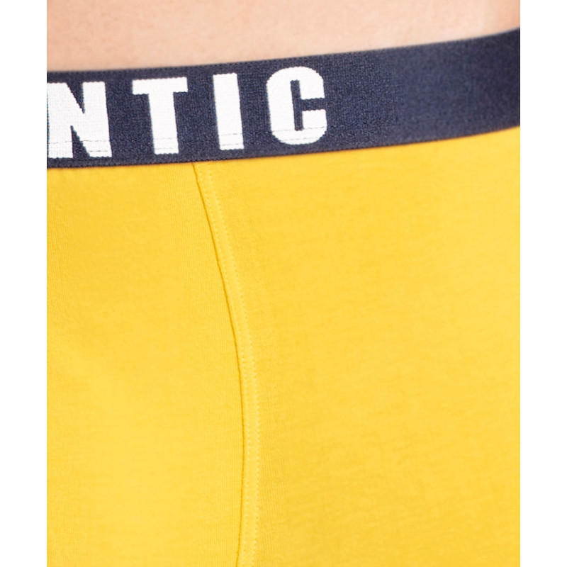 Atlantic panties