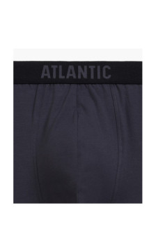 Atlantic panties