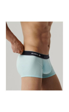 Atlantic panties