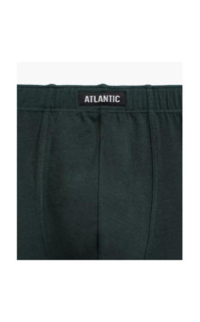 Atlantic panties