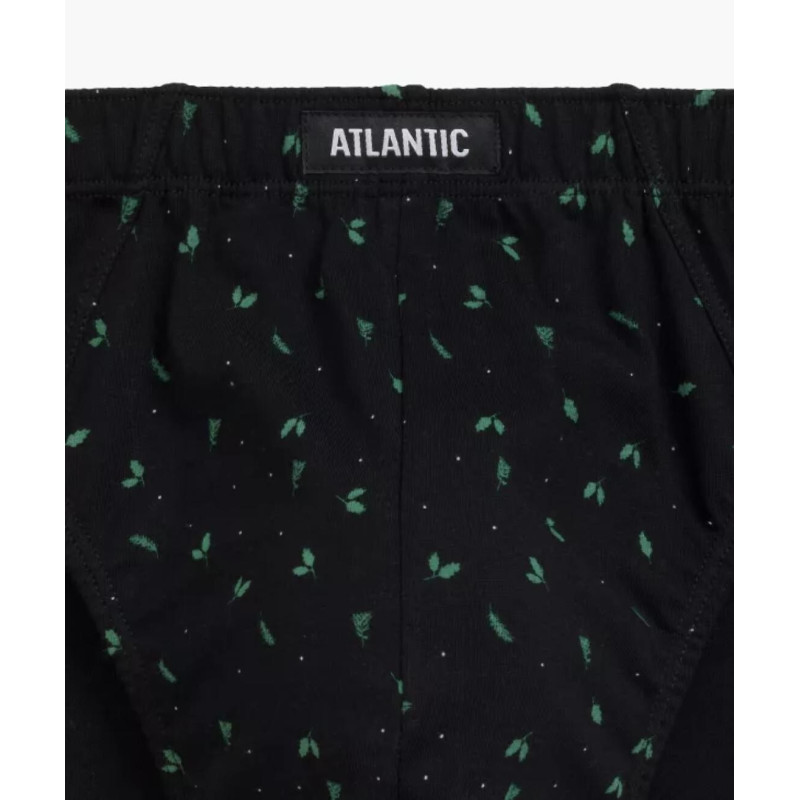 Atlantic panties