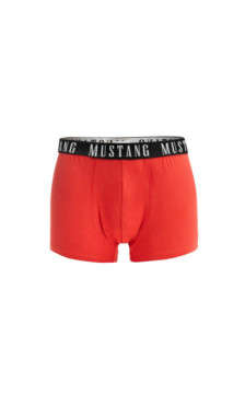 Mustang panties