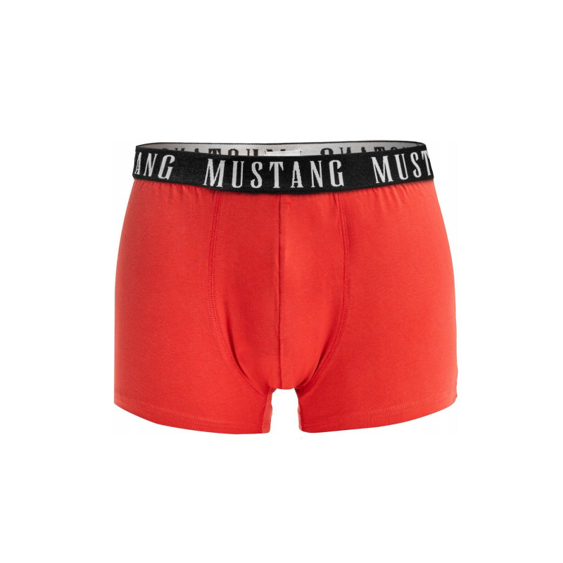 Mustang panties