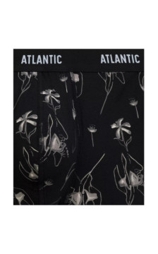 Atlantic panties
